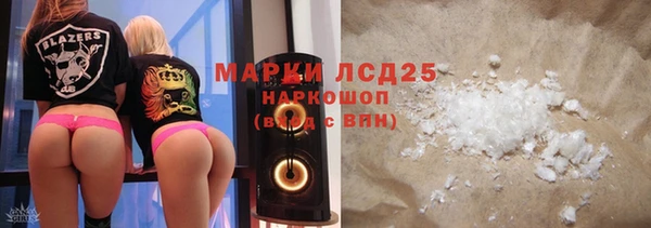 хмурый Аркадак