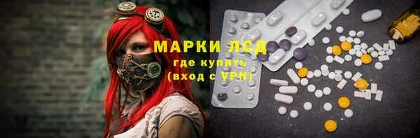 крисы Новозыбков