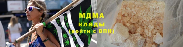 хмурый Аркадак