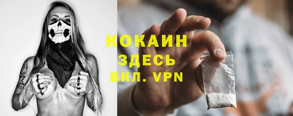 хмурый Аркадак
