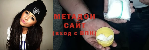 хмурый Аркадак
