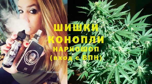 хмурый Аркадак