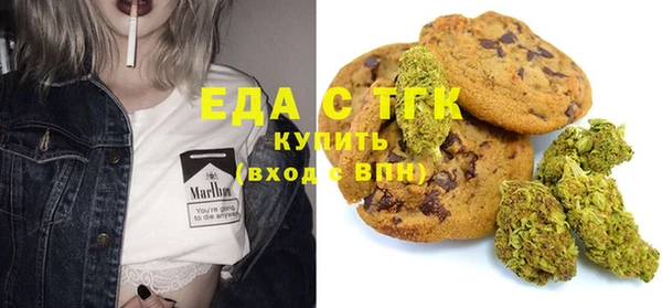 хмурый Аркадак