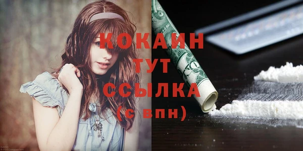 дмт Новодвинск