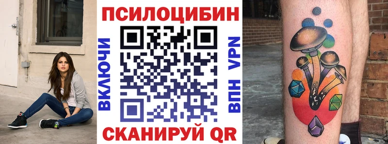 Псилоцибиновые грибы прущие грибы  Ладушкин 